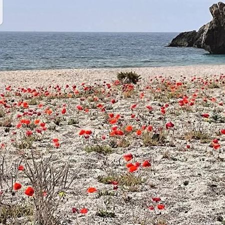 The Poppies Guest House - 100M Ocean - Private Spaces Candelaria Exterior photo