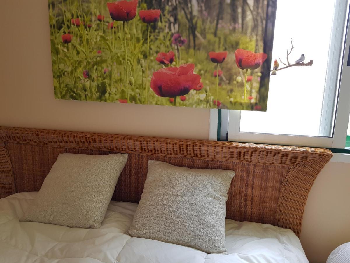 The Poppies Guest House - 100M Ocean - Private Spaces Candelaria Exterior photo